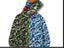 BAPE  Fall Winter Shark Split Green Blue Camo Full‑Zip Hoodie